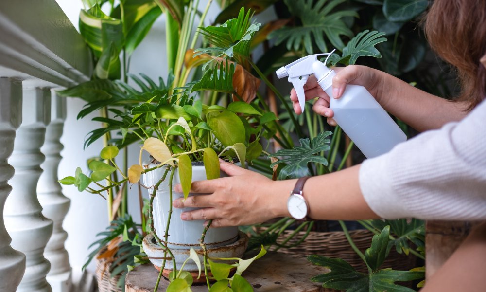 Sourcing Stylish and Affordable Options for Your Business